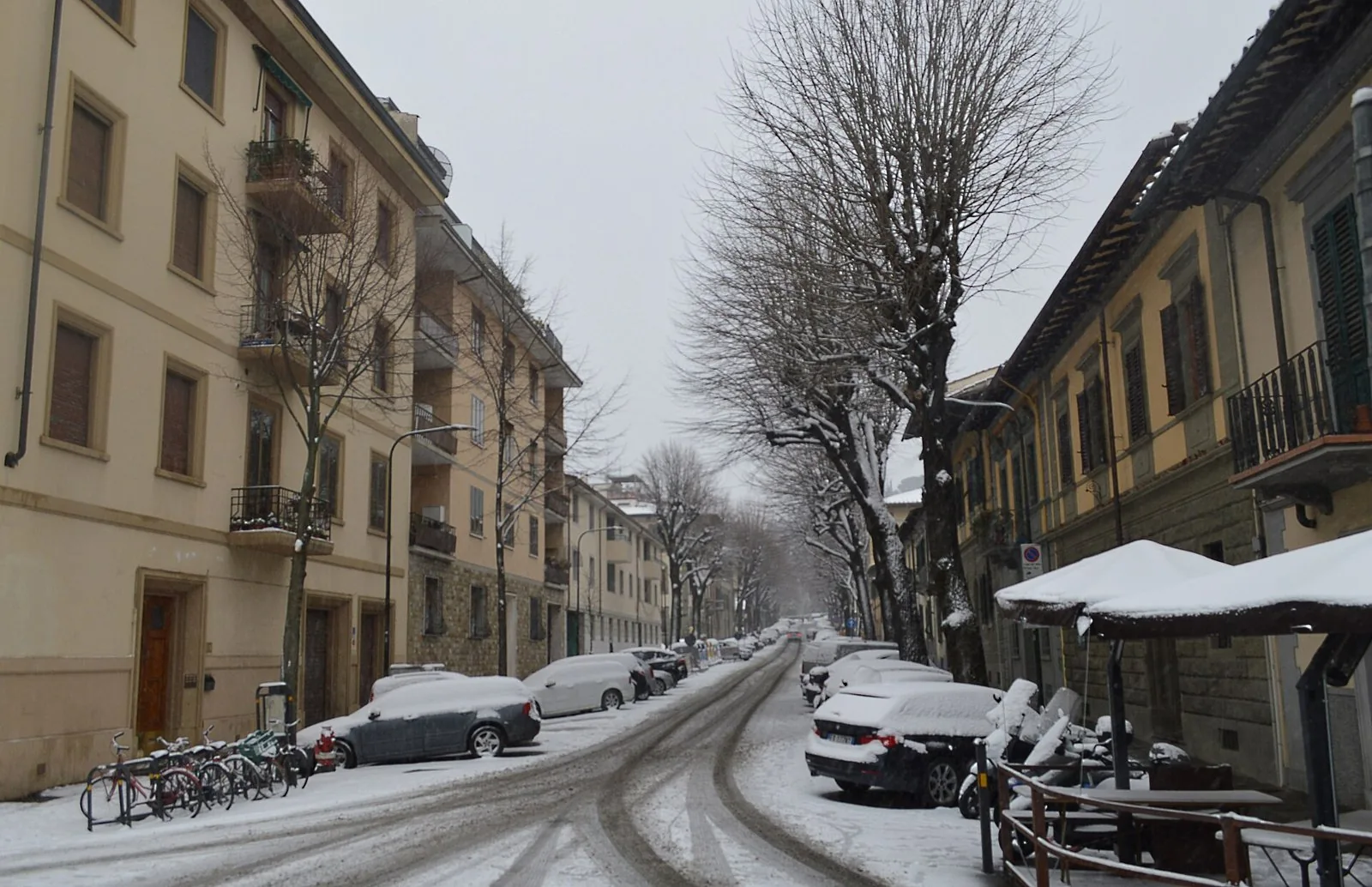 Strada residenziale di Firenze con alberi spogli e auto coperte dalla neve